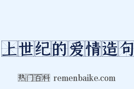 上世纪的爱情造句是什么意思的图片